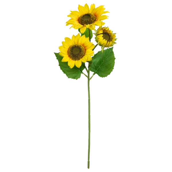 Weekly Sunflower Stems Subscription - Image 3