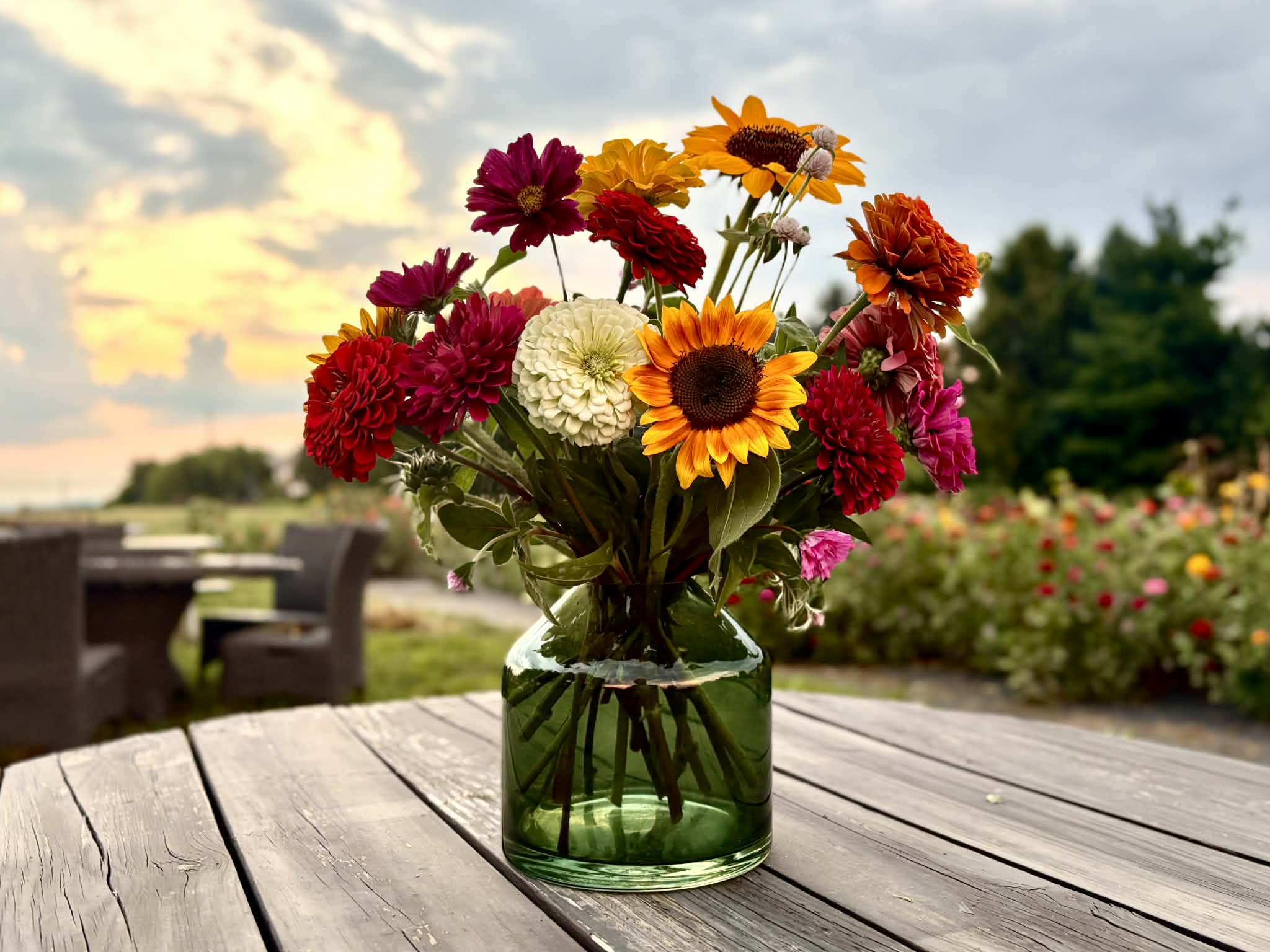 Bloom Basics Subscription